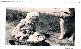 Chats Chien Et Fillette -cats Child And Dog-  Meisje  Poesjes En Hond -katze Kind Hund - Katten