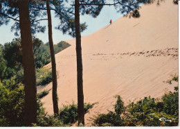 Le Pyla-sur-Mer - L'énorme Dune Du Pilat Vue De La Forêt - Altri & Non Classificati