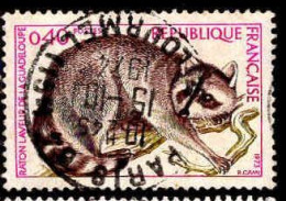 France Poste Obl Yv:1754 Mi:1843 Raton Laveur De La Guadeloupe (TB Cachet à Date) 15-10-1974 - Gebruikt