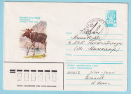 USSR 1981.0401. Moose. Prestamped Cover, Used - 1980-91