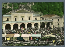 °°° Cartolina - Settefrati Santuario Della Madonna Di Canneto Nuova °°° - Frosinone