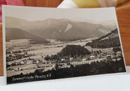 AK "SOMMERFRISCHE PERNITZ NÖ" SCHÖNE ALTE POSTKARTE VINTAGE ANTIK ANSICHTSKARTE CA. 1930  GUT ERHALTEN  HEIMAT SAMMLER - Wiener Neustadt