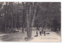 Le Pouliguen - Le Bois Près La Route De Penchâteau - Le Pouliguen