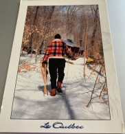 Quebec 2001 Ancienne Cabane A Sucre Au Fond Des Bois Motoneige Raquettes -ed Fontomania Xlq005 - Autres & Non Classés