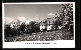 AK Vorderstoder /O.-Ö., Blühende Bäume Am Gasthaus Steinerwirt  - Autres & Non Classés