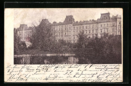 AK Wien, Das Erzherzog-Albrecht-Palais  - Other & Unclassified