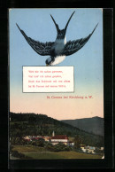 AK St. Corona Bei Kirchberg, Ortsansicht Und Schwalbe Mit Kurzem Gedicht  - Altri & Non Classificati