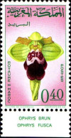 Maroc Poste N** Yv: 495 Mi:557 Ophrys Fusca Ophrys Brun Bord De Feuille - Marocco (1956-...)