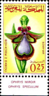 Maroc Poste N** Yv: 494 Mi:556 Ophrys Speculum Ophrys Miroir Bord De Feuille - Morocco (1956-...)
