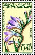 Maroc Poste N** Yv: 481 Mi:543 Gladiolus Segetum Glaïeul Des Moissons - Maroc (1956-...)