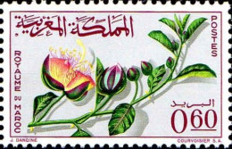 Maroc Poste N** Yv: 482 Mi:544 Capparis Spinosa Caprier - Marocco (1956-...)