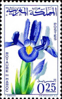 Maroc Poste N** Yv: 480 Mi:542 Iris Tingitina Iris De Tanger - Morocco (1956-...)