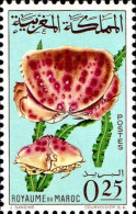 Maroc Poste N* Yv: 491 Mi:553 Calappa Granulata Crabe Honteux (défaut Gomme) - Marruecos (1956-...)