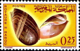 Maroc Poste N* Yv: 488 Mi:550 Pitaria Chione-Veneridae Grande Volute (défaut Gomme) - Morocco (1956-...)