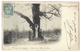 27  Vernon - Foret - Arbre - Chene De La Mere De Dieu - Vernon