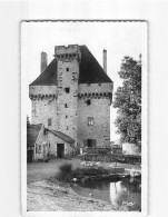 DOYET : Château De La Souche Construit En 1359 - état - Otros & Sin Clasificación