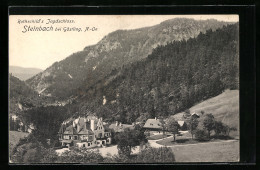 AK Steinbach Bei Göstling, Blick Auf Rothschild`s Jagdschloss  - Other & Unclassified