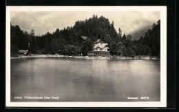 AK Lienz /Tirol, Blick Auf Den Tristachersee  - Autres & Non Classés