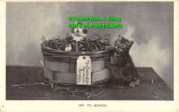 R357092 Off To School. Cats. Kitten. The Regent Glossy Series 1601. R. P. 1906 - Monde