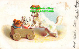 R357093 Gods. Puppies. Painting. 549. Postcard. 1904 - Monde