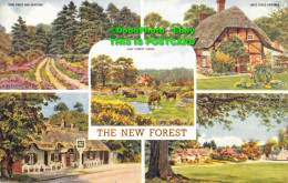 R357428 The New Forest. Salmon. 4630. Multi View - World