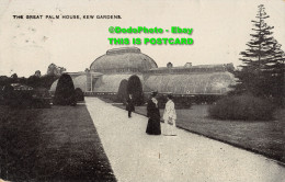 R357444 The Great Palm House. Kew Gardens. The Auto Photo Series. 1908 - World