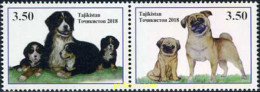 615136 MNH TAYIKISTAN 2017 AÑO LUNAR CHINO - Tagikistan