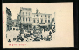 AK St. Pölten, Herrenplatz Mit Haus Vinz. Höfinger Und Marienstatue  - Sonstige & Ohne Zuordnung