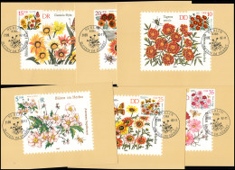 2737-2742 Herbstblumen, Satz Auf 6 Wermsdorf-MK ESSt BERLIN 21.9.1982 - Maximumkaarten