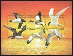 Gambia 1999 MNH SS, Sea Birds, Gull, Shelduck, Artic Skua, Giant Tern - - Gabbiani