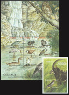 Central Africa 2000 MNH MS+SS, Birds Of Africa, Jacana, Bateleur, Eagle, Heron, Oxpecker - Other & Unclassified