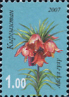 234896 MNH KIRGUIZISTAN 2007 FLOR - Kirgizië