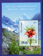 207399 MNH KIRGUIZISTAN 2007 FLORES DE MONTAÑA - Kyrgyzstan