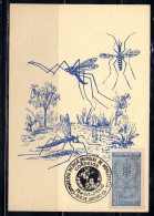 BRAZIL BRASIL BRASILE BRÉSIL1962 FIGHT ANTI AGAINST MALARIA PALUDISME 21cz MAXIMUM MAXI CARD CARTE - Tarjetas – Máxima