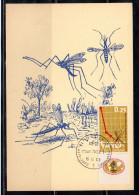 ISRAEL ISRAELE 1962 FIGHT ANTI AGAINST MALARIA PALUDISME 0.25s MAXIMUM MAXI CARD CARTE - Cartoline Maximum