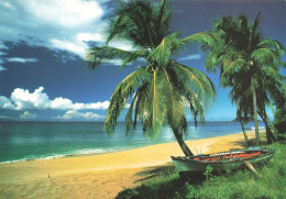 FRANCE - Guadeloupe - Côte Sous Le Vent - Colorisé - Carte Postale Ancienne - Autres & Non Classés