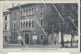 Bl365 Cartolina Belluno Citta'  Chiesa Di S.stefano - Belluno