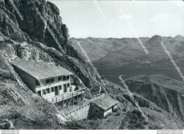 Bm89 Cartolina Rifugio Olivo Sala Al Popera Provincia Di Belluno - Belluno