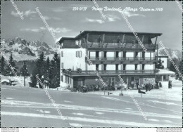 Bm121 Cartolina Monte Bondone Albergo Vason Belluno - Belluno