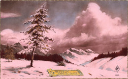 FETES ET VOEUX - Anniversaire - Un Paysage Sous La Neige - Colorisé - Carte Postale Ancienne - Anniversaire