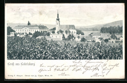 AK Gobelsburg, Ortspartie Mit Kirche  - Other & Unclassified