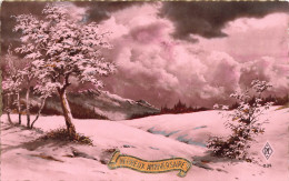 FETES ET VOEUX - Anniversaire - Un Paysage Sous La Neige - Colorisé - Carte Postale Ancienne - Geburtstag