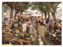 BANDOL Son Marché Pittoresque (carte Photo Animée) - Bandol