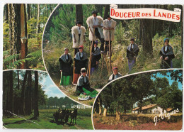 Douceur Des Landes - Other & Unclassified