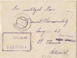 Bosnia-Herzegovina/SHS, Year 1919, Letter Sent From Auxiliary Post Office/Ablage "SRNETICA" To Ostrelj. - Bosnië En Herzegovina