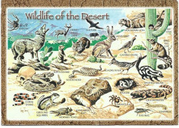 WILDLIFE OF THE SOUTHWEST DESERT, NEW-MEXICO, Postcard Sent To Andorra (Principality) - Andere & Zonder Classificatie