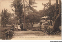 AS#BFP3-1088 - Guyanne - CAYENNE - Paysage Et Cocotiers - Chalet Du Gouverneur - Cayenne