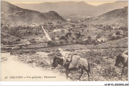 AS#BFP3-0968 - Albanie - DELVINO - Vue Générale - Panorama - Ane - Albanien