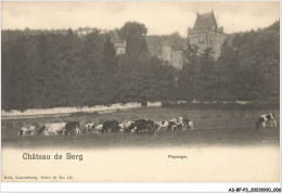 AS#BFP3-0970 - Luxembourg - NELS - Château De Berg - Paysage - Sonstige & Ohne Zuordnung