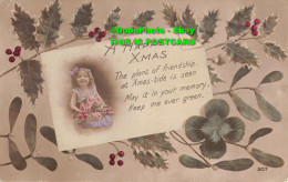 R357691 A Happy Xmas. The Plant Of Friendship At Xmas Tide Is Seen. 507. Printed - Monde